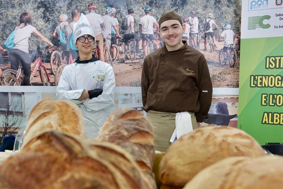 WhatsApp-Image-2025-01-30-at-13.08.54