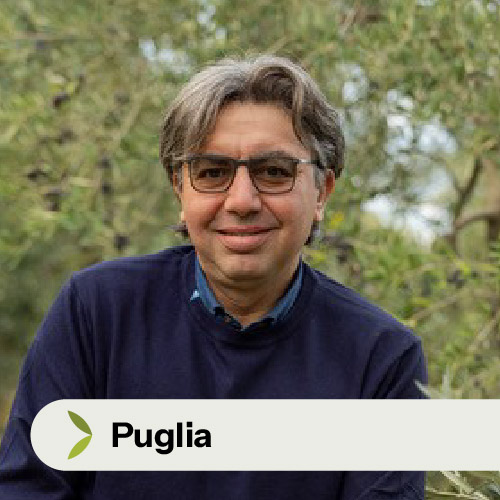 Giuseppe Ciccolella